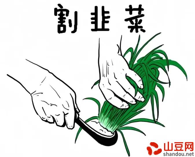 冷链十大排名品牌,冷链品牌排行榜