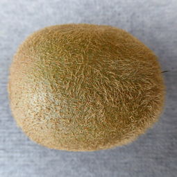 日本鱼肝油十大排名日本鱼肝油十大排名品牌