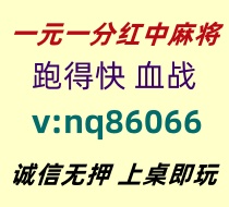 【心想事成】一元一分红中麻将跑得快《哪里有》