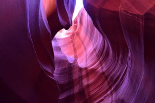 世界上最美木星排名前十（世界上最好的木材排名）