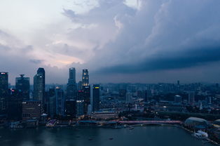 冬天中国最暖和城市,中国冬天最暖和的城市排名