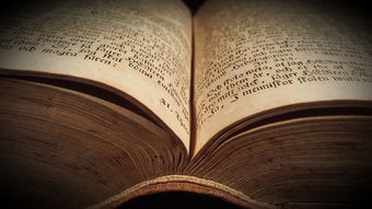 唐诗古风十大排名，唐风古韵的诗词