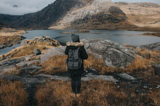 世界上最大最年轻高原是什么，世界上最大最年轻高原