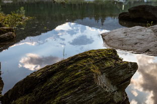 世界上最真实的东非，东非是黑人吗