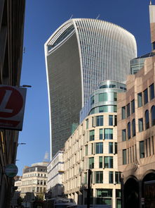 中国大酒店投资人,中国最牛酒店投资