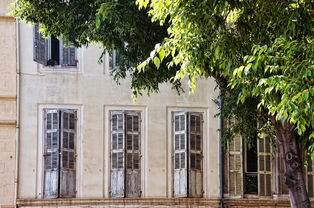 庙街十大排名，庙街附近有什么好玩的