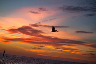 致敬中国最漂亮的人，致敬最美的人