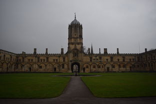 深圳著名的茶楼,深圳茶楼十大排名