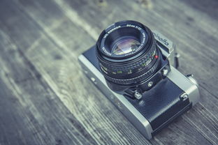 前置过滤器十大排名，前置过滤器哪个品牌好性价比高