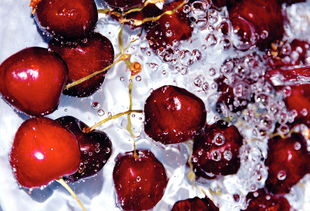 品牌陈皮哪个最好，正宗陈皮品牌十大排名