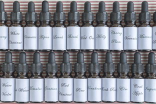 十大排名淡斑精华品牌，十大排名淡斑精华品牌