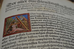 世界截拳道弟子排名前十，截拳道排世界第几