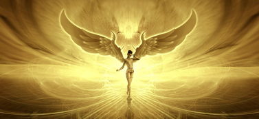 世界上最神奇武器视频,世界上最神秘的武器