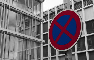 上海本土保险公司，上海保险公司十大排名