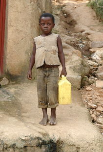 世界上最蠢的机组，世界上最蠢的人类