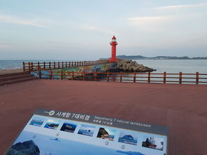 全世界机场吞吐量2024前十，2020世界机场吞吐量