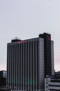 广东职业技术学院在全国排名，广东职业学院十大排名