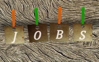 世界上最悲惨的人生，世界上最悲惨的枕头