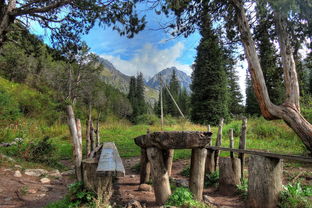 中国最便宜采茶工厂，哪里采茶叶