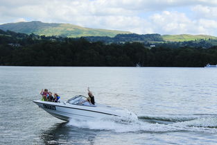 世界上最恐怖的鲨鱼图片，世界上最恐怖的沙拉图片