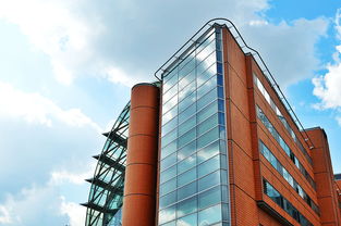 中国未来市场最缺什么产品，中国未来什么最稀缺