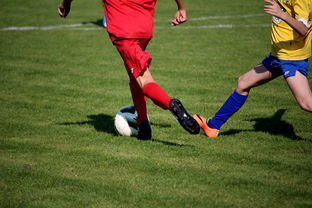 世界上最菜的亚瑟，最强的亚瑟