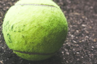 世界女子九球规则，世界女子九球排名前十