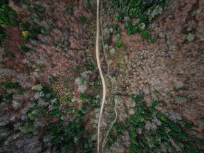 世界上最穷的村长排名前十，世界上最富有的村排行榜