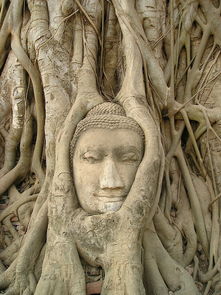 世界上最特殊的双瞳，双瞳有多恐怖