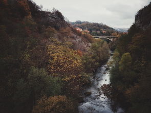 中国最陡坡公路，中国最陡的公路坡