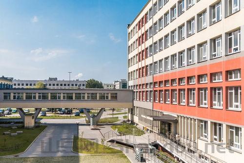 国内武校十大排名，全国十大武校最有名的是什么名字
