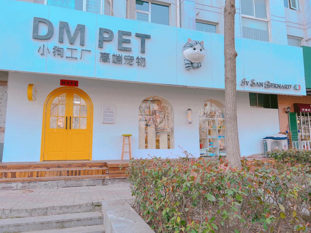 开宠物店赚钱吗?一般来说多久可以回本,开宠物店赚钱吗