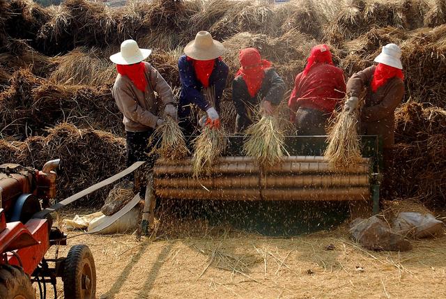 农村未来10大暴利行业,在农村怎么赚钱