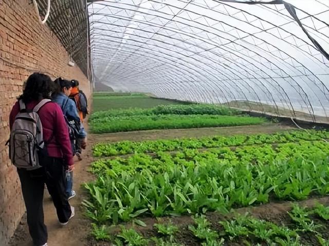 农村未来10大暴利行业,在农村怎么赚钱